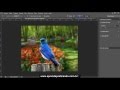 Removendo fundo dificil sem plugin com Photoshop CS6 - AULA 03