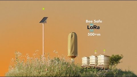 HIIVE Link: Real-Time Insights into the Life of Bees