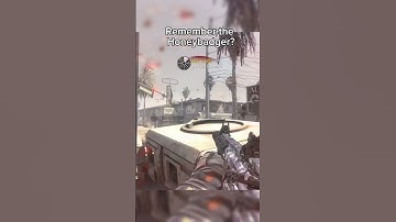 Remember the Honeybadger from COD Ghosts ?