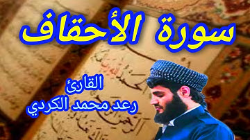 سورة الأحقاف - القارئ رعد محمد الكردي