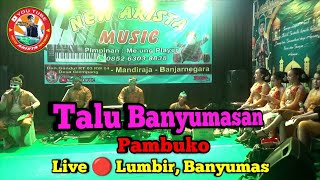 Talu Banyumasan || Pambuko || New Arista Music || Banjarnegara || Live 🔴 Lumbir, Banyumas