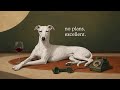 Vintage 1940s Noir Jazz | No Plans, Excellent
