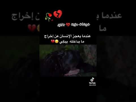 غصة حنيـــن وقلب يشتاق وي حـــن لماض ذهب بعيدا مع كل يوم جديد ألم جديد وح زن يتجدد أ 