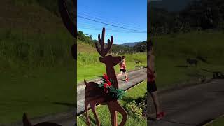 FINALIZANDO 2025 COM VITÓRIA #corridaderua #music #running