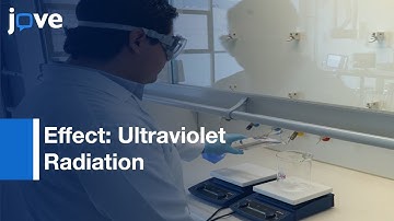 Chemical Bath Deposition- Cadmium Chloride Crystals & Subsequent CdS Obtention l Protocol Preview