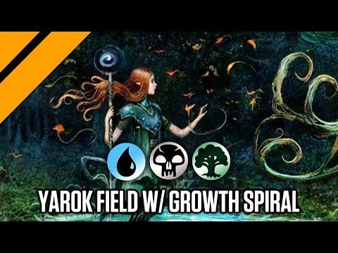 Videó: Field Yarok