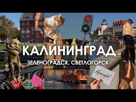 Калининград. Влог. Зеленоградск, Светлогорск. Балтийское море.