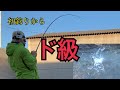 【釣り動画】新年初釣りでいきなり大物が!?