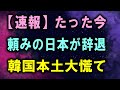 【速報】たった今頼みの日本が辞退韓国本土大慌て