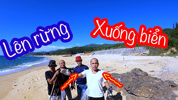 Lên Rừng Xuống Biển Tìm Đặc Sản | Son Duoc Vlogs