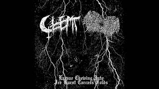 Calling of Phasmic Presence (International) / Glemt (UK) - Split 2024