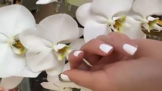 Luxury Nail Salon in Beverly Hills | Sholé Beverly Hills