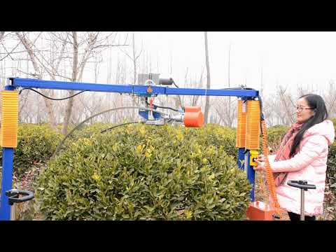 Automatic trimming machine for round shrubs