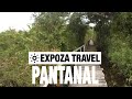 Pantanal (Paraguay) Vacation Travel Video Guide
