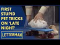The First Stupid Pet Tricks On "Late Night" | Letterman
