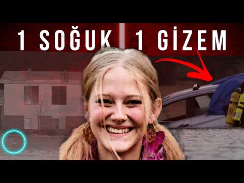 Video: Bu, Köpeğinizin Tasarımı Olacak (Sadece Bırakın)