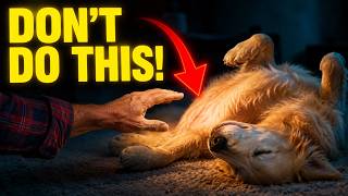 Dog Psychology Facts: Why Dogs Sleep Upside Down | Stop Waking Them Up Immediately!