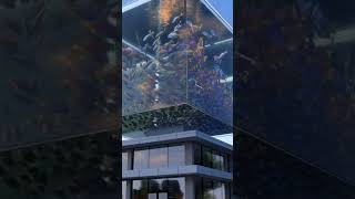 Aquarium Building Concept 2🐟🐠💦