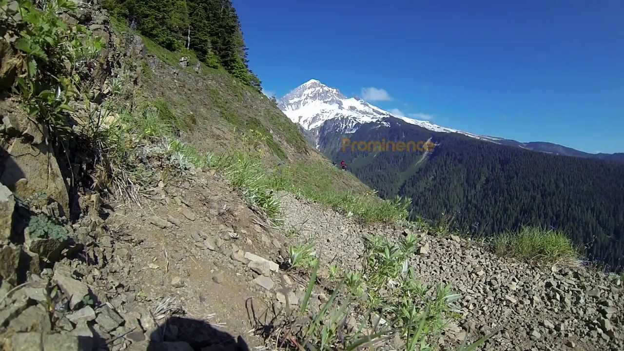 Northward and Skyward: Prominence