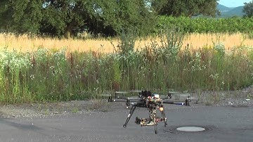 Testflug Freefly Cinestar 8