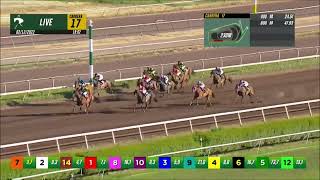 Vidéo de la course PMU PRIX DALE RIENDAS