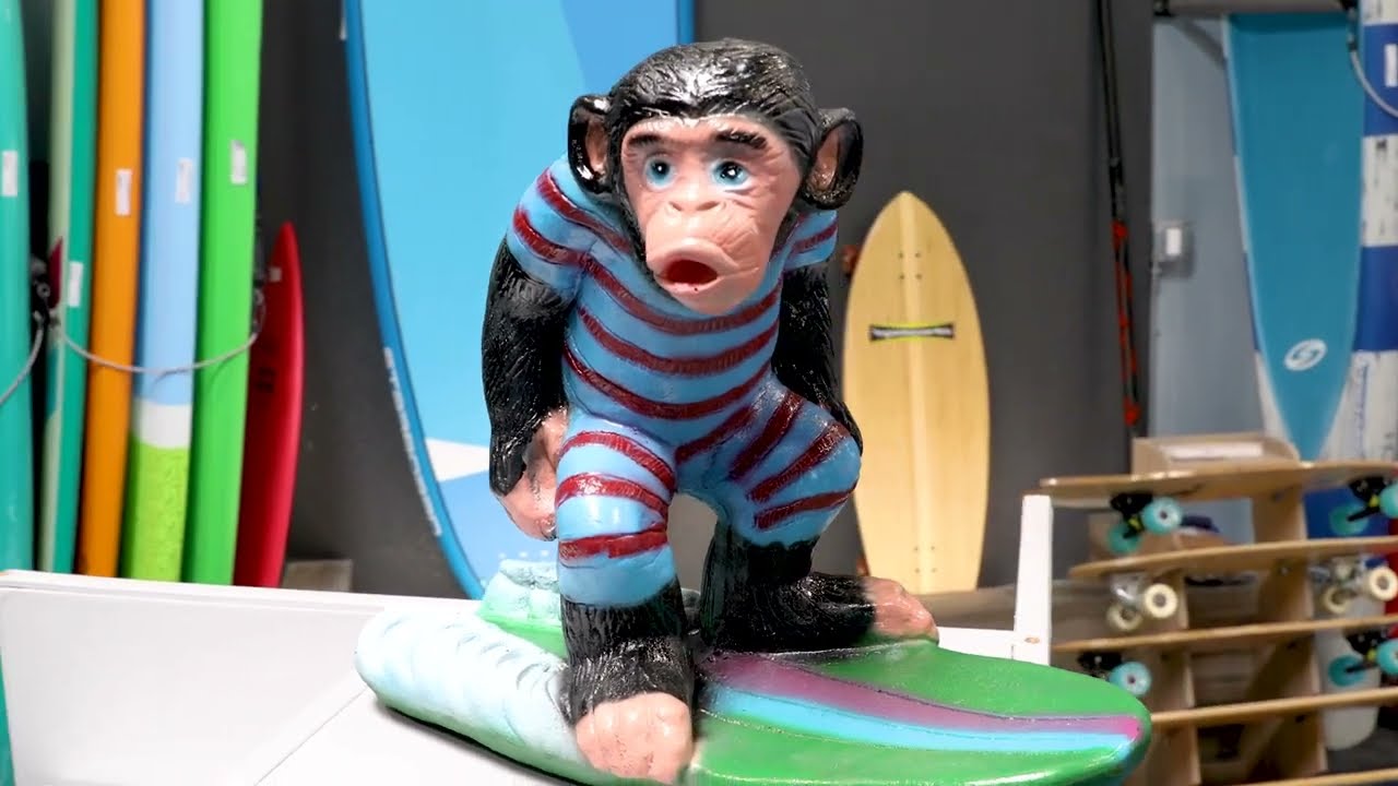 West Coast Paddle Sports Shop Tour San Diego Paddle Boarding