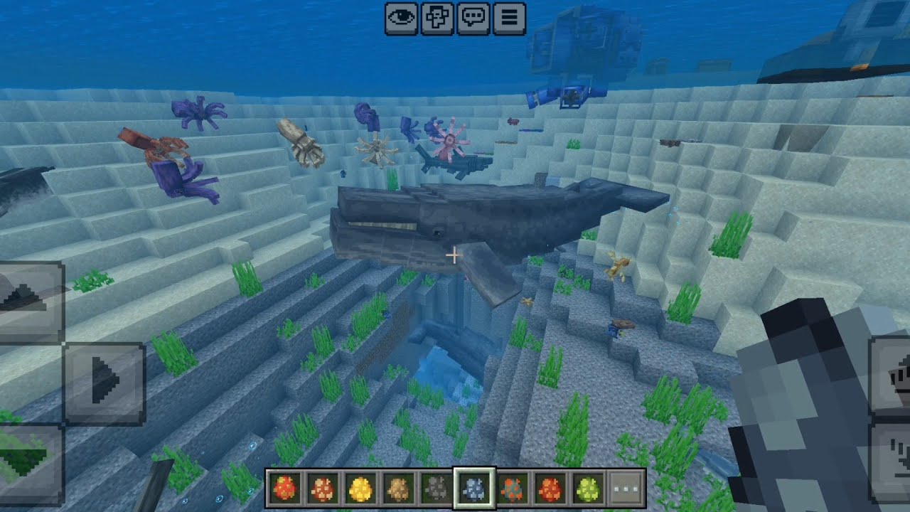 ANIMALS PACK:Aquatic Addon UPDATE in Minecraft PE 