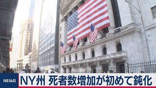 ＮＹの増加数減少も感染は今後ピーク迎えるか