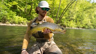 Fly Fishing WILD BROWN TROUT in PENNSYLVANIA!! - Late May Fly Fishing!!