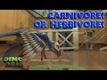 MICRORAPTOR! Carnivore or Herbivore? | Dino Dan Trek&#39;s Adventures | Dino Kids