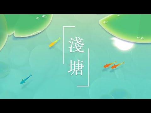 Pond - save the little carp Mobile Gameplay(淺塘)