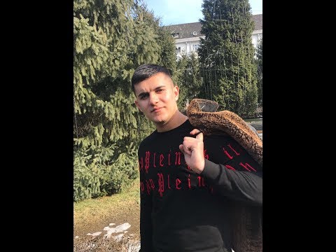 Alexandru Ciocirlan șerban Eu Numai Numai Cover Ionel Istrati Youtube