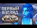 Первые впечатления от Альфы WoW: Shadowlands | Зул