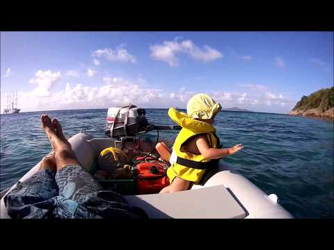 Mola Mola La Vida En En El Caribe