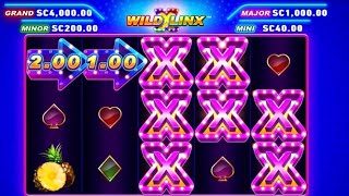 Beluga whale watching while playing Chumba Casino online slots! #Chumba #Casino #Slots screenshot 5