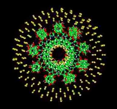 Molecular Dynamics simulation