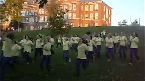 Pi Beta Phi - University of Cincinnati - Bid Day 2011