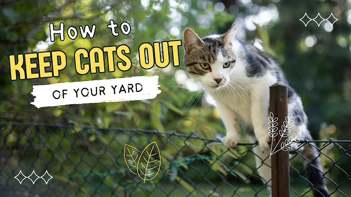 How to Keep Stray Cats Out of Your Yard & Garden: Best Outdoor Deterrents