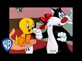 Looney Tunes | Sylvester, Kiss the Little Birdy! | Classic Cartoon | WB Kids