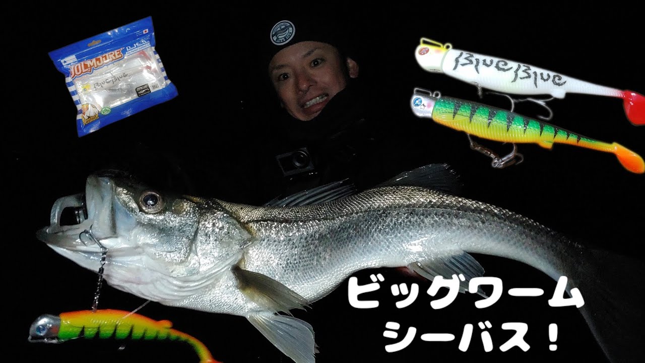 BlueBlueジョルムーア6インチ ビッグワームシーバスキャッチ！