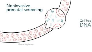 Noninvasive Prenatal Screening Patient Education Animation