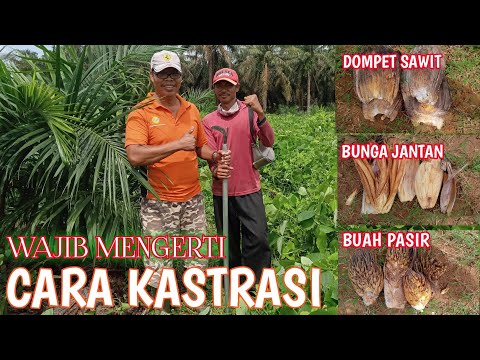 Video: Cara Membuang Penyitaan Pada Tahun