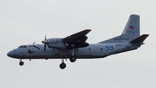 44-х летний Морячок с Дельфином Ан-26 RF-46876