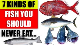 7 Kinds of Fish You Should Never Eat | Most Toxic Fish You Should Avoid To Protect Your Health