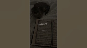 سورة النساء / القارئ ياسر الدوسري 🤍 #لبنان #فلسطين #السودان .