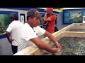 Turtle Conservation and Education