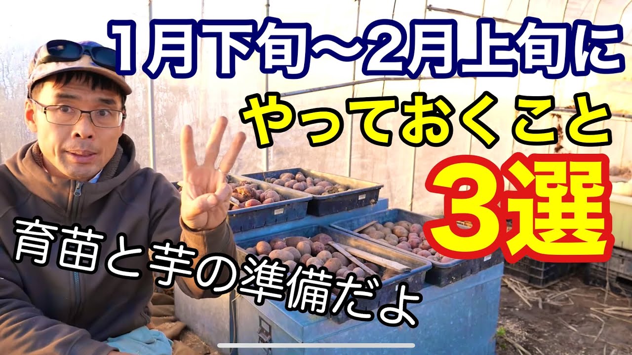 Preparations for growing spring and summer vegetables in January