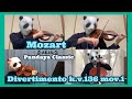 ディベルティメントk.v.136/モーツァルト Mozart / Divertimento 第1楽章 (バイオリン、チェロ、ビオラ )弦楽四重奏