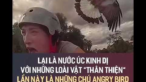 Nước Úc kì dị với các loài vật thân thiện - khám phá nước Úc | Góc Bí Ẩn