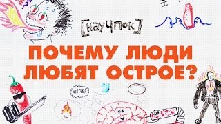 Научпок - Почему люди любят острое?(Смотрите Научпок на Карамбе! http://carambatv.ru/cartoons/science., 2014-06-13T13:20:56.000Z)